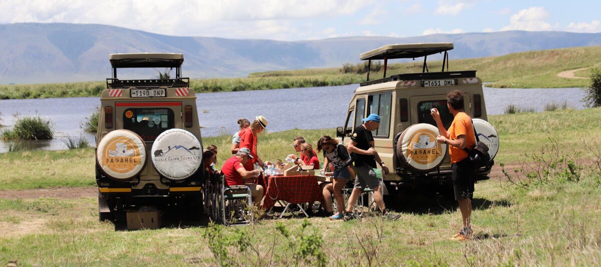 Discovering Tanzania’s Natural Treasures: Family-Focused Tours and Activities