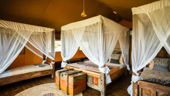 Beach Safari - Accommodation Detail - Africa Safari Lake Natron - Image Gallery 10