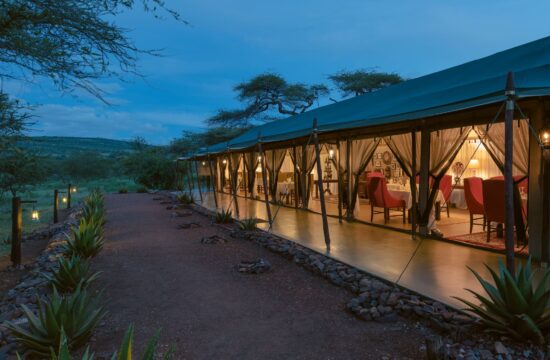 Ole-Serai-Luxury-Camp-Moru-Kopjes-1