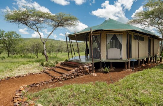Ole-Serai-Luxury-Camp-Moru-Kopjes-2