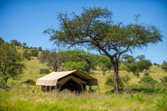 Serengeti-Kati-Kati_2