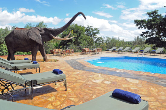 Swimming-pool2