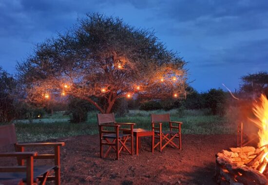 Tarangire-Kuro-Treetops-Lodge68