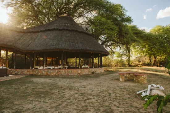 copy_of_ruaha_foxes_caseypratt_loveafrica-4371535872a