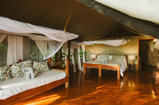 foxes_rufiji_caseypratt_loveafrica-7809_18b97791