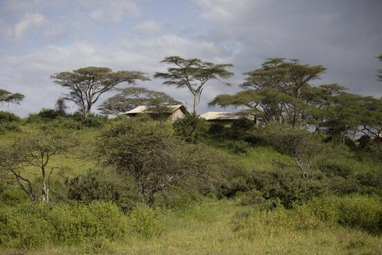 nyikani-migration-camp-A07-1