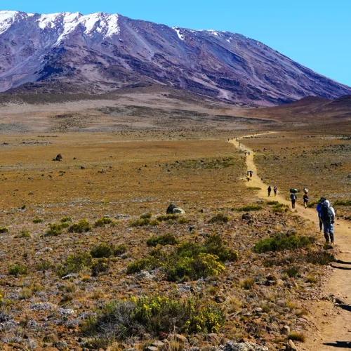 Kilimanjaro-Machame-7-Days