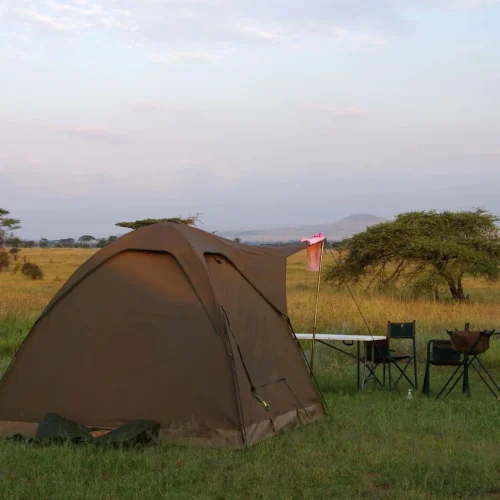 kc-safari-bg-74